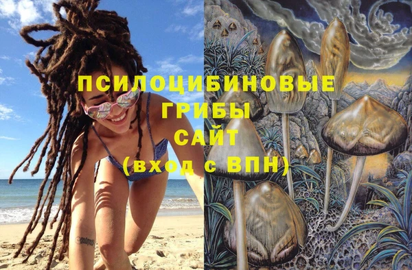 2c-b Арсеньев