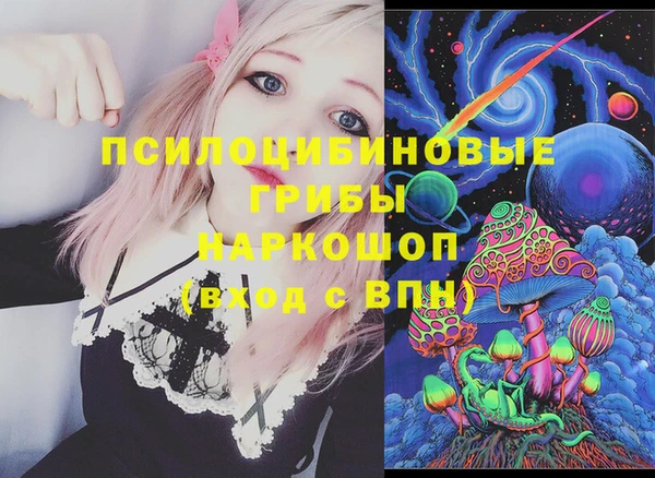 крисы Алексин