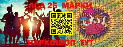 амф Кимры