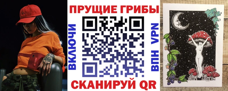 Псилоцибиновые грибы Cubensis  где продают   Санкт-Петербург 