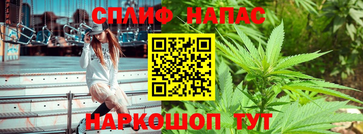 Бошки Шишки семена  МАРИХУАНА White Widow  Канабис индика  Вход с VPN  Санкт-Петербург 